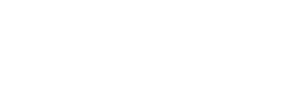 Vizum