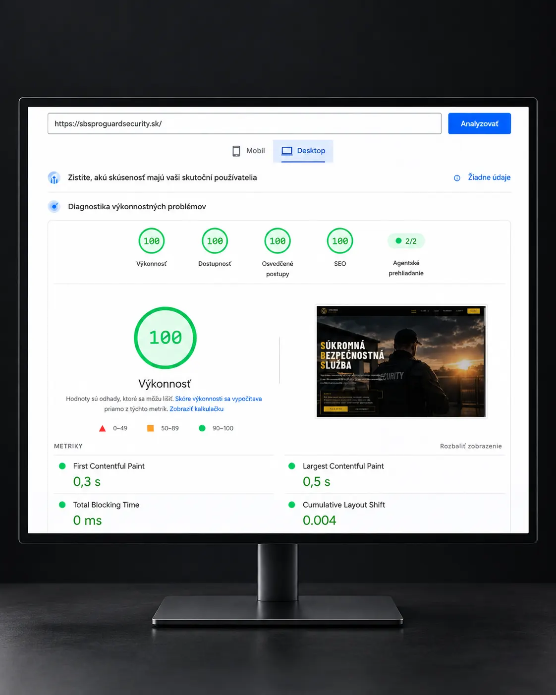 PageSpeed Insights desktop — ProGuard Security 100/100