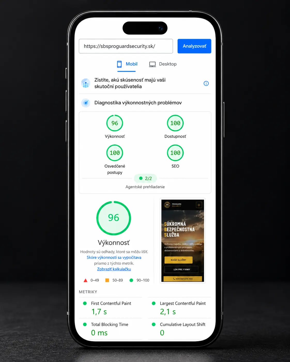 PageSpeed Insights mobile — ProGuard Security